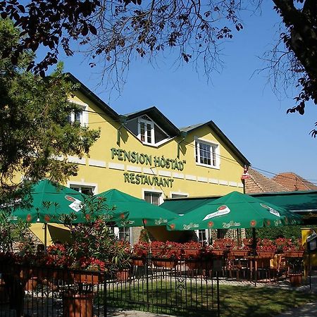 Pension Hostad Gabcikovo エクステリア 写真